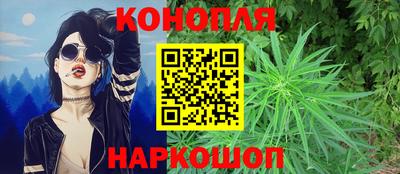 сатива Гусиноозёрск