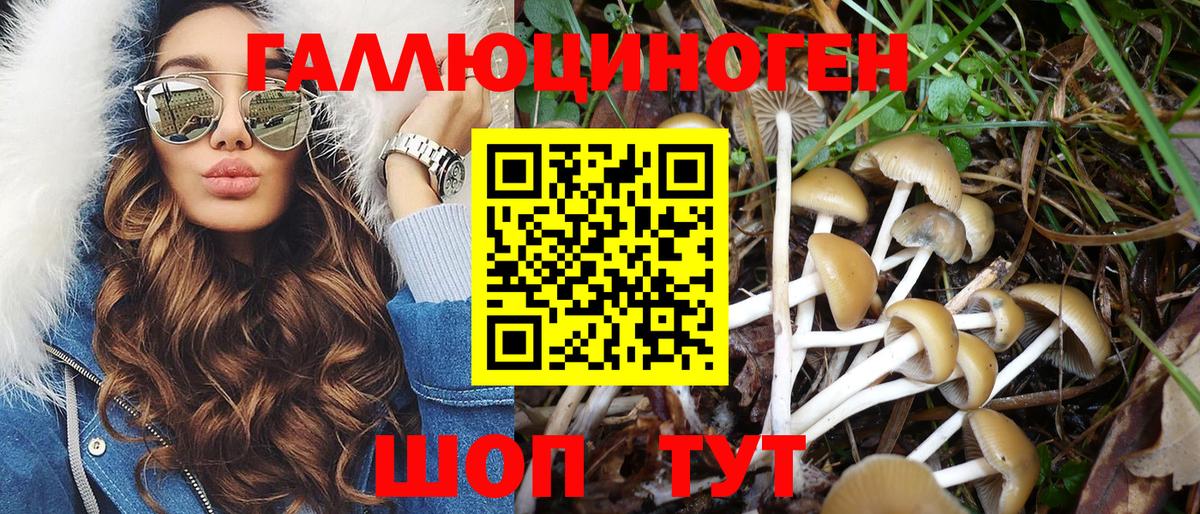 Псилоцибиновые грибы MAGIC MUSHROOMS  Псилоцибиновые грибы MAGIC MUSHROOMS  где можно купить наркотик  Вход с VPN  Острогожск 