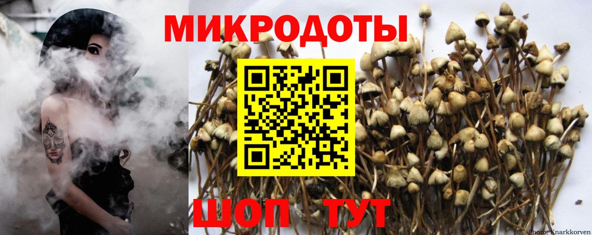 Псилоцибиновые грибы ЛСД Острогожск